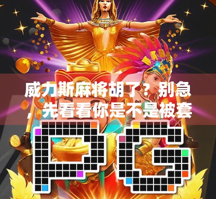 威力斯麻将胡了？别急，先看看你是不是被套路了！