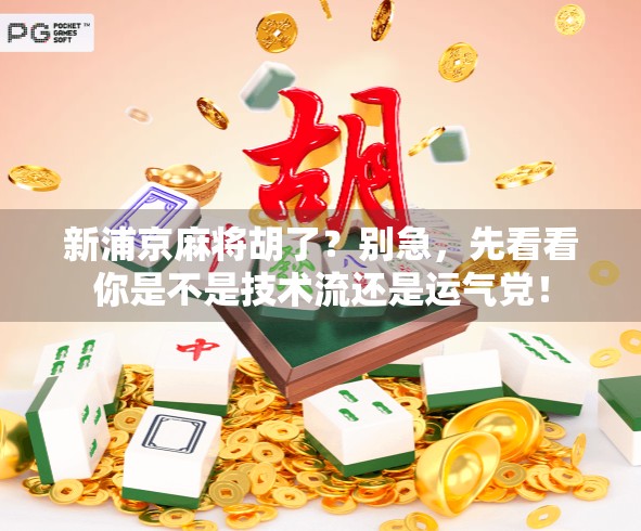 新浦京麻将胡了？别急，先看看你是不是技术流还是运气党！