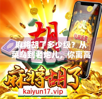 麻将胡了多少级？从菜鸟到老炮儿，你离高手还有多远？
