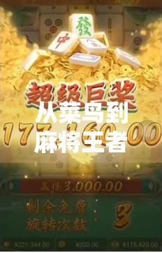 从菜鸟到麻将王者，PG麻将胡了高手的逆袭之路，揭秘背后的真实秘诀！