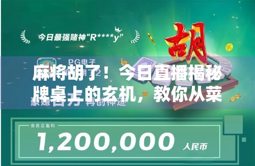 麻将胡了！今日直播揭秘牌桌上的玄机，教你从菜鸟变高手！