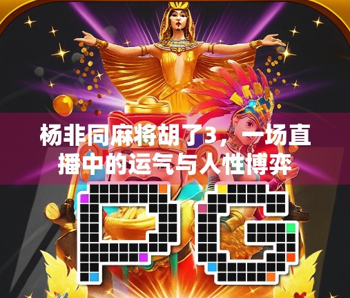 杨非同麻将胡了3，一场直播中的运气与人性博弈